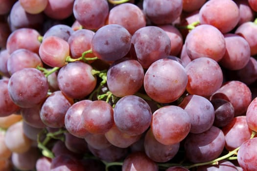 red grapes as an agricultural background