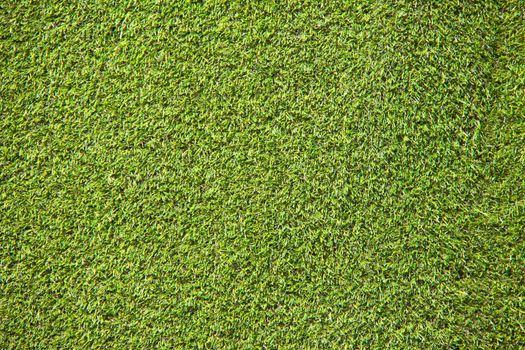 This is a Artificial grass  on sunlight