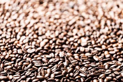 Brown roasted raw coffee bean heap background