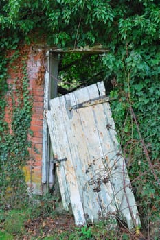 Old leaning door with foilage background