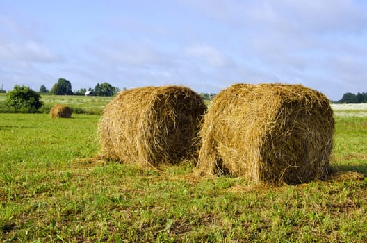 Twisted haystack in agricultural meadow. Animal feed for winter.