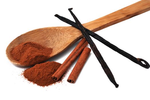 spices. cinnamon and vanilla on a white background