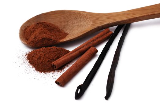 spices. cinnamon and vanilla on a white background