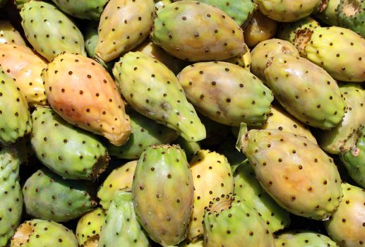 freshly cut fruit cactus Opuntia as an agricultural background