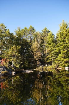 Early autumn reflection on a northern lake
