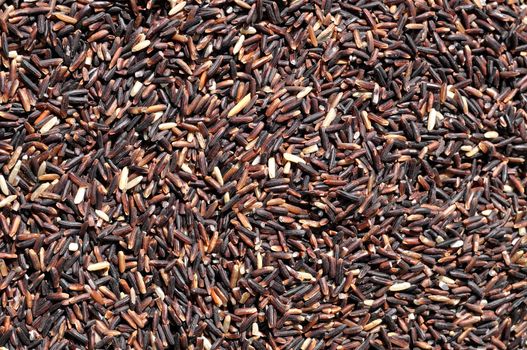 Rice Berry contains three times more iron than other varieties. And not only does it contain a high level of antioxidants such as beta-carotene, gamma oryzanol, vitamin E, and folic acid (folate) in itself, but it becomes soft and is aromatic when cooked, which is the outstanding trait of Thai Hom. Mali Rice.