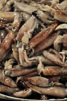 Detail of fresh raw whole squid.