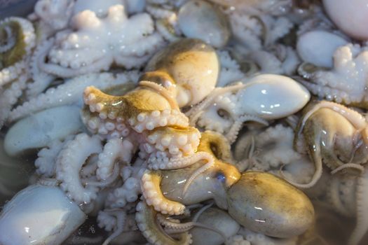 octopus and other seafood on ice at a market in Thailand