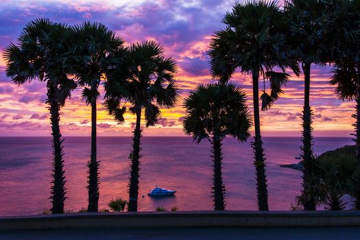 Set among palm trees on the island of Phuket