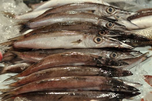 Photo of fresh fish at the Fish Market