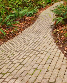 Winding brick path through a fern garden