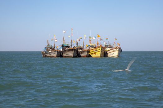 Seascape of a row of colorful fishing boats anchored off shore in the Arabian Sea on the coast Gujarat India at Bet Dwarka. Lone seagull on the prowl for food amidst blue seas and sky
