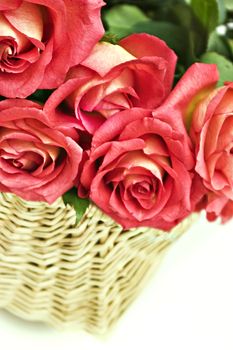 Beautiful long stem roses in a basket on a white background
