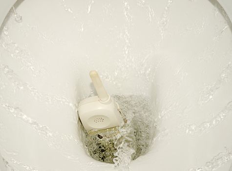 Telephone Sinks In Toilet. The Effects Of Financial Crisis.