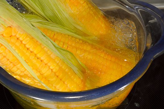 Corn Boiling In The Glass Transparent Pot.
