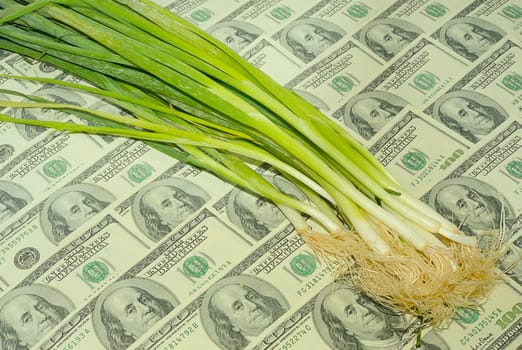 Spring Onions On The One Hundred Dollar Bills Background.