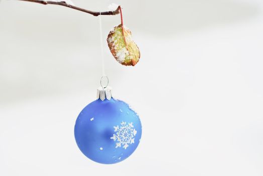 Christmas decoration hanging on a branch with a green leaf