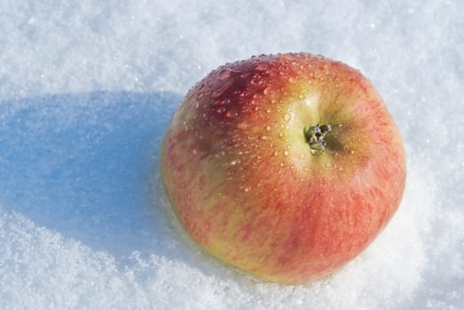 Drops water- red apple at ice snowy