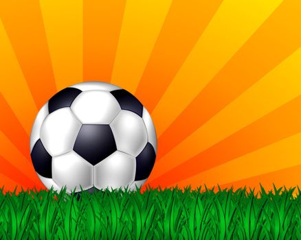 colorful illustration of a soccer ball