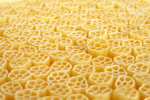 Italian pasta - meal for vegetarians on a white background