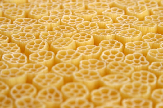 Italian pasta - meal for vegetarians on a white background