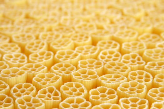 Italian pasta - meal for vegetarians on a white background