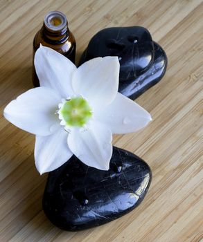 Spa black stones with white flower and bottle of oil on wooden background 