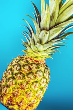 Close-up of a pineapple against a blue background