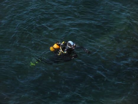 diver in sea