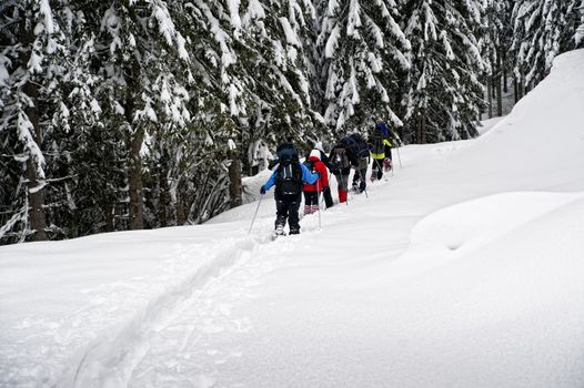 Group of snowshoe hikers in the forest