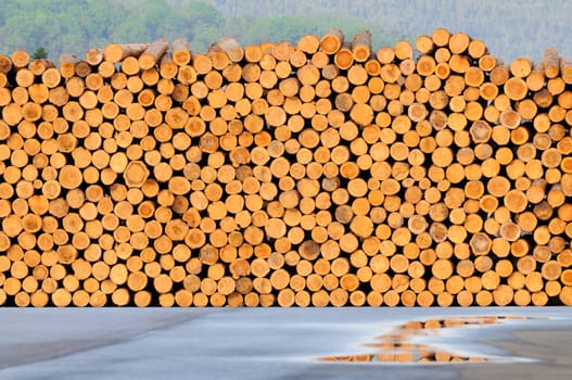 A big pile of wood prepare for manufacturing