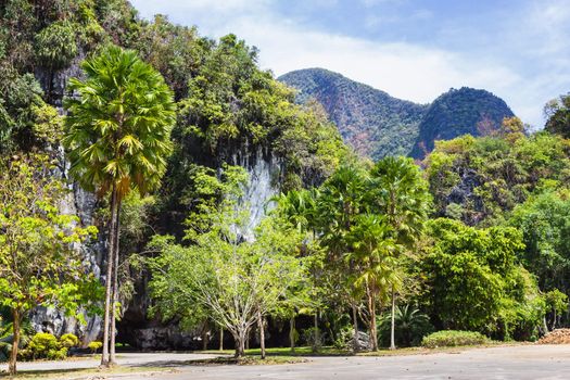 nature of the island of Phuket,Thailand