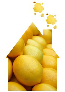 lemon house