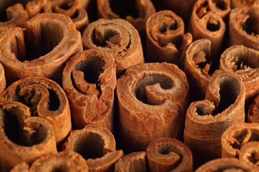 Macro photo of the ends of cinnamon sticks.  Very shallow depth of field with the focus across the middle.