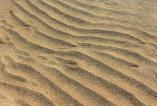 sand waves on the sea floor as marine background