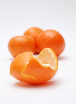 citrus