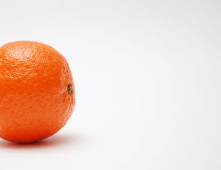 citrus