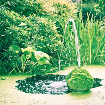 Water feature in an ornamental garden pond