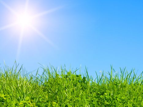 green field on blue sky 