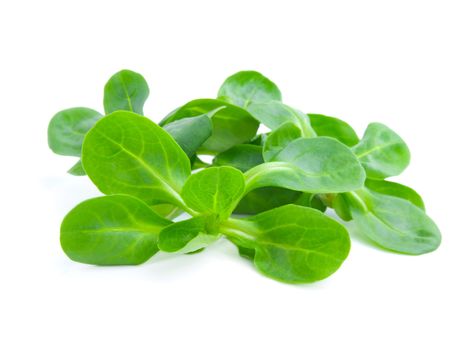 fresh salad isolated on the white background 