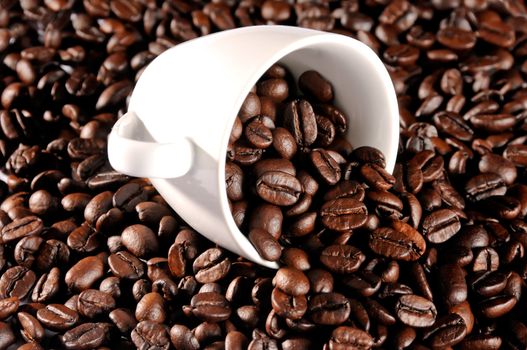Cup fulled with coffee beans