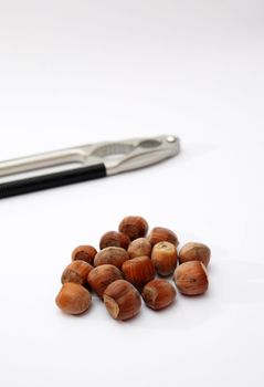 nuts