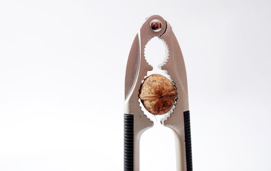 nuts