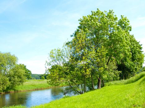 lake in the nature 