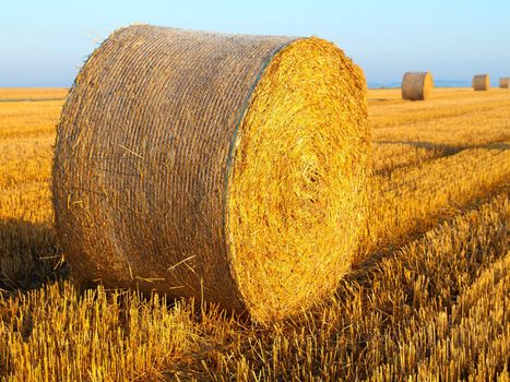 a hay bale on a golden field 