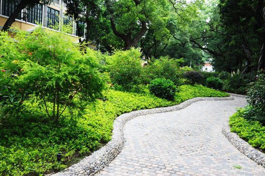 Road in the garden