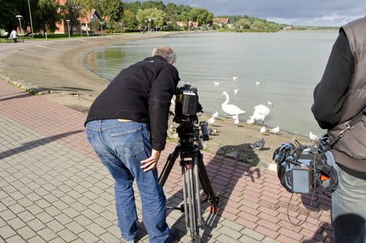 Operator shooting the water birds swans pigeons.