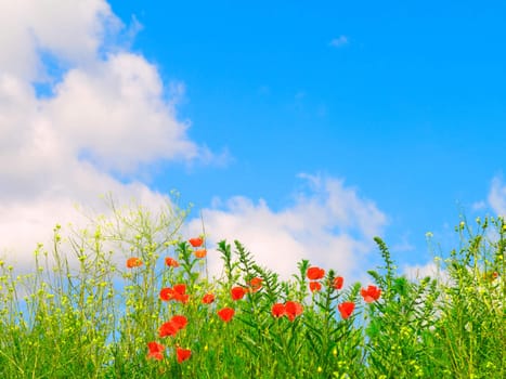 green field on blue sky 