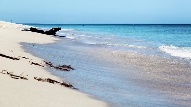 Landscape on the shores of the Atlantic Ocean