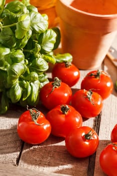 fresh cherry tomatoes